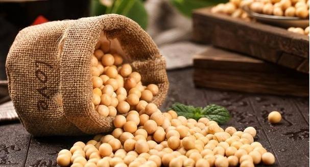 农产品的生产与供给关系到食品安全,而大豆是最重要的油料作物之一